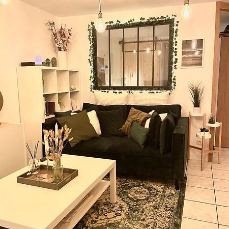 Apartament Petit Cocon Au Coeur D'Annecy Zewnętrze zdjęcie