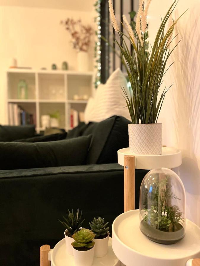 Apartament Petit Cocon Au Coeur D'Annecy Zewnętrze zdjęcie