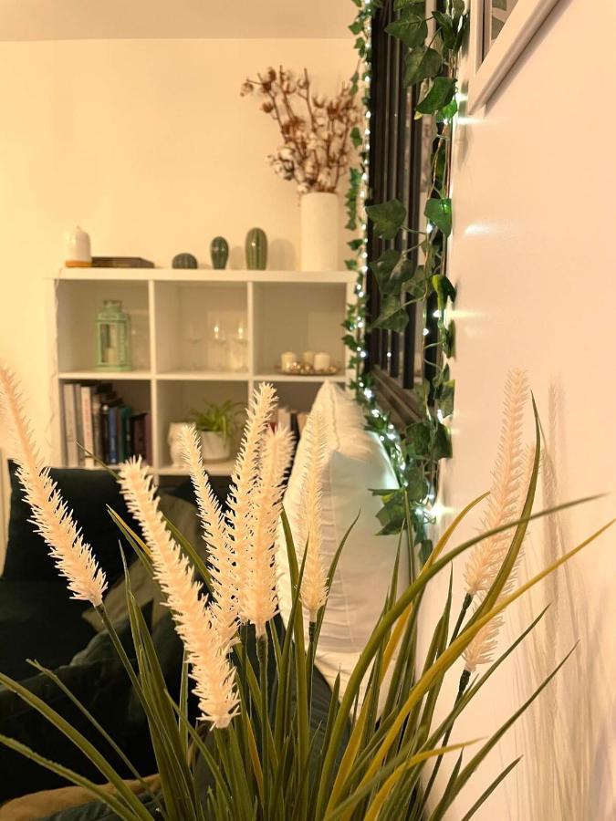 Apartament Petit Cocon Au Coeur D'Annecy Zewnętrze zdjęcie